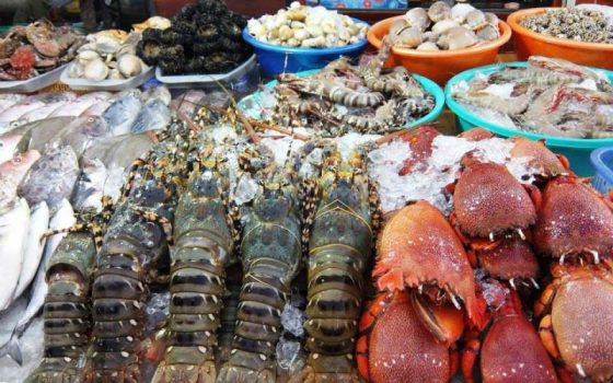 hải sản tươi sống top 8 món ăn đặc sản Vũng Tàu siêu ngon siêu rẻ